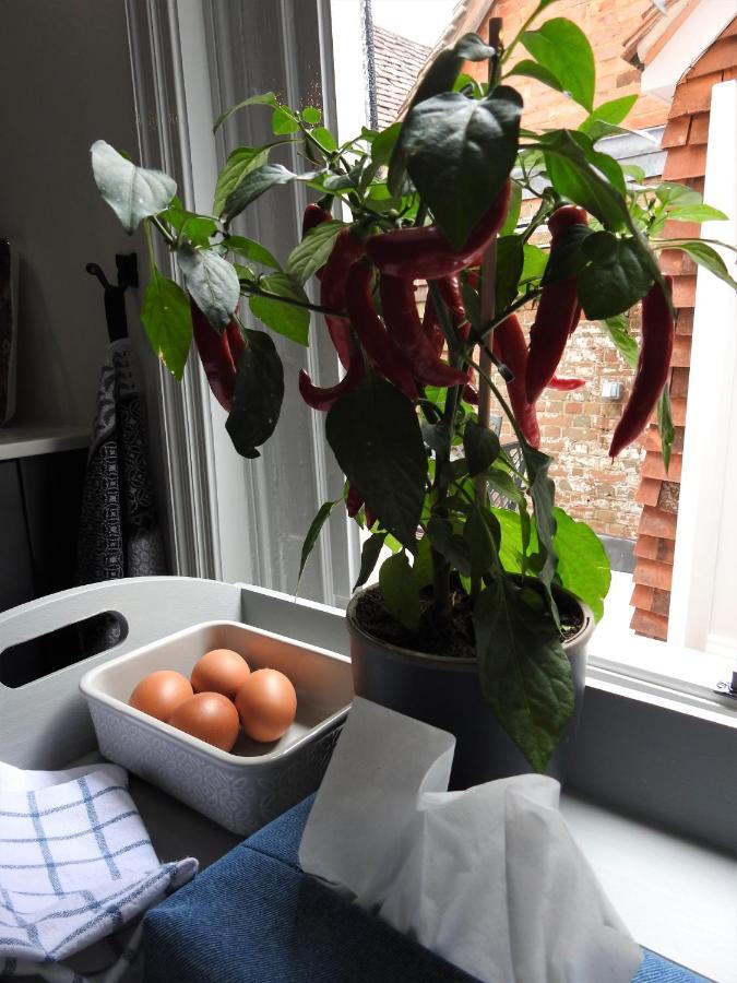 Purlins Holiday Apartment Salisbury Buitenkant foto
